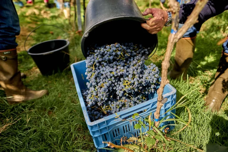 Château de Bioul — Photo 3