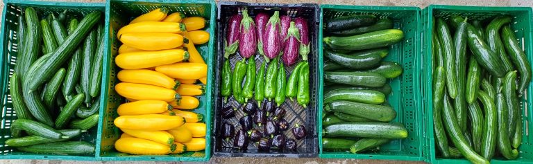 Le verger de la Molignée — Photo 1