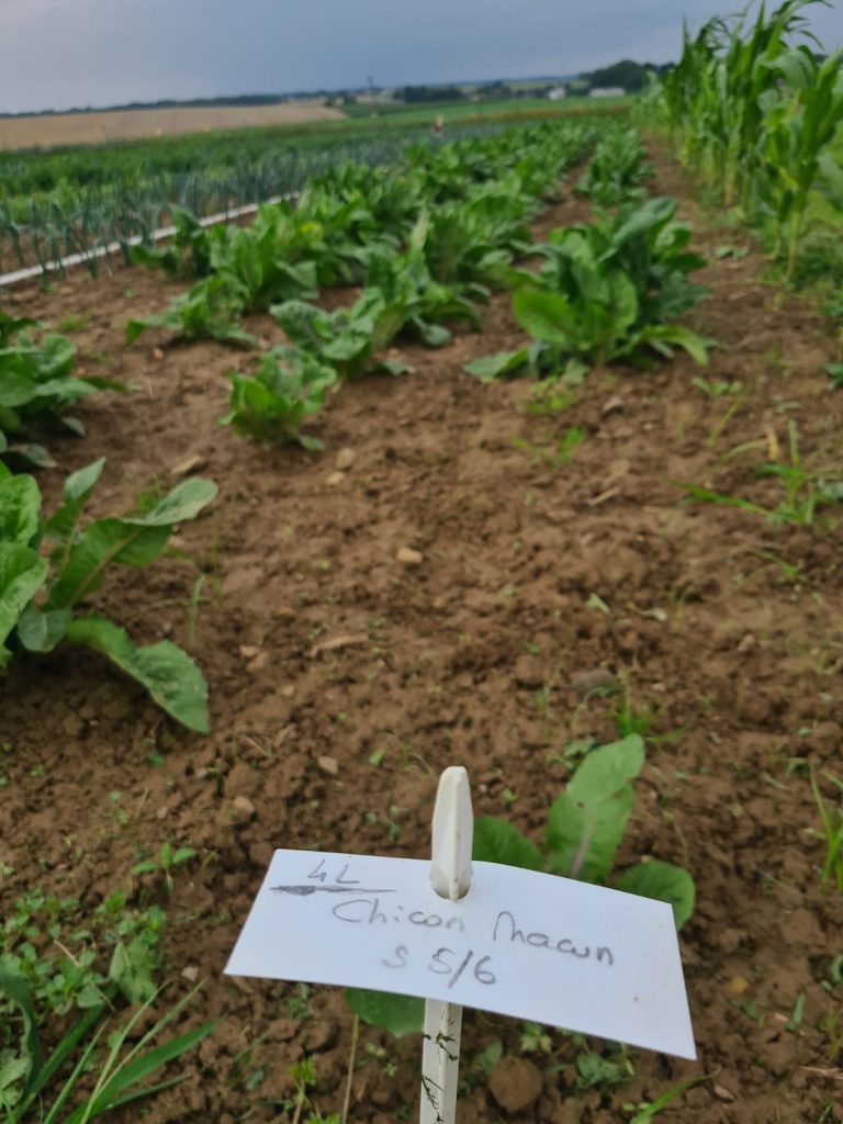 Le Jardin du Frech-Try