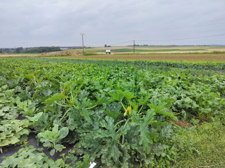 Le Jardin du Frech-Try — Photo 3