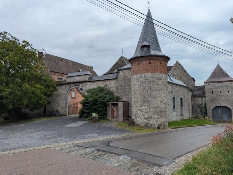 Les Oeufs du verger — Photo 1