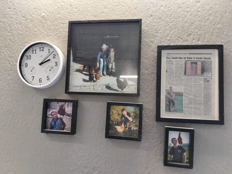 Les Oeufs du verger — Photo 3