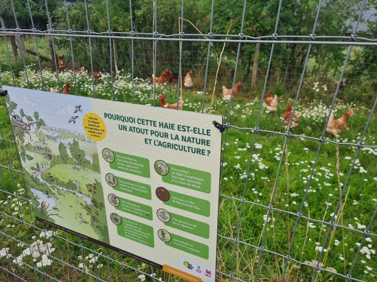 Les Oeufs du verger — Photo 5