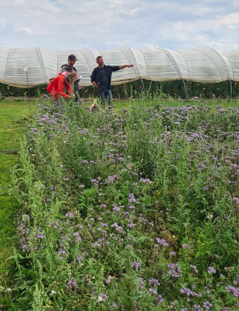 Le Jardin du Frech-Try — Photo 5