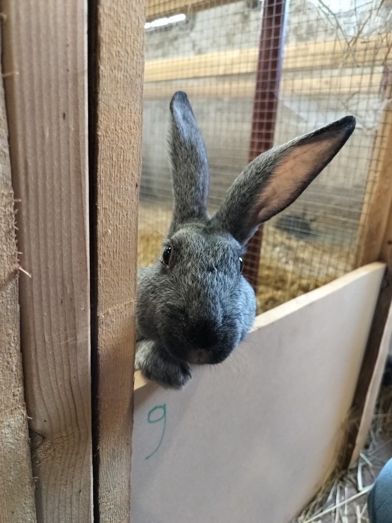 M.Agro.Bee — Image de couverture