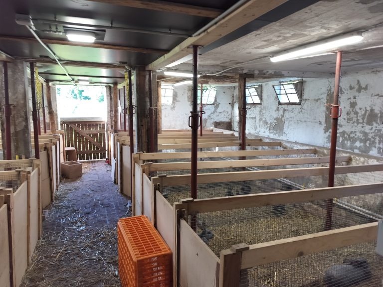 M.Agro.Bee — Photo 6