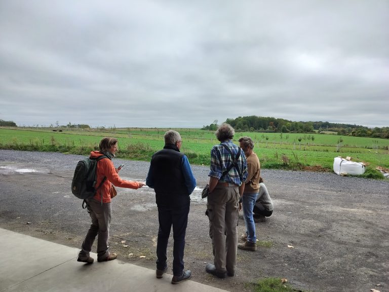 La Ferme de Waulx — Photo 6