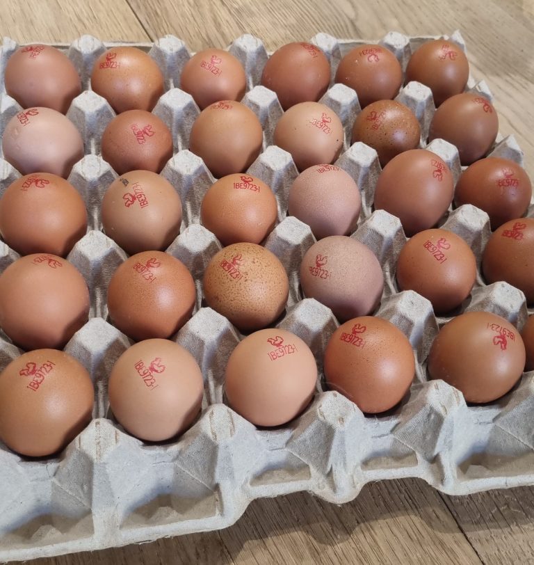 Les Cocot&rsquo;ysa — Photo 3