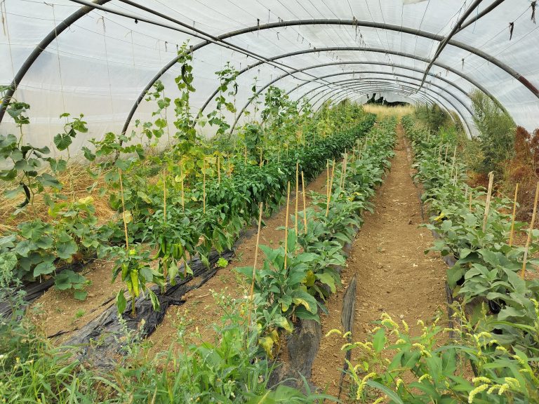 L’Épicurie — Photo 3