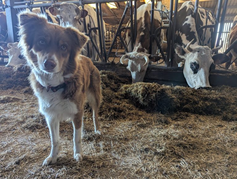 Les Délices du jardin — Photo 4