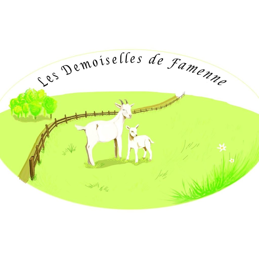Les Demoiselles de Famenne — Image de couverture
