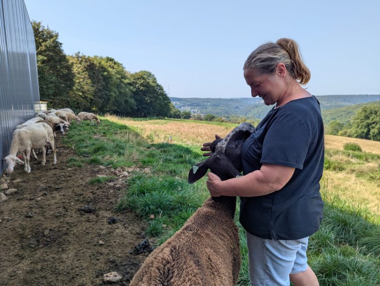 La Bergerie d&rsquo;Emilie — Photo 4