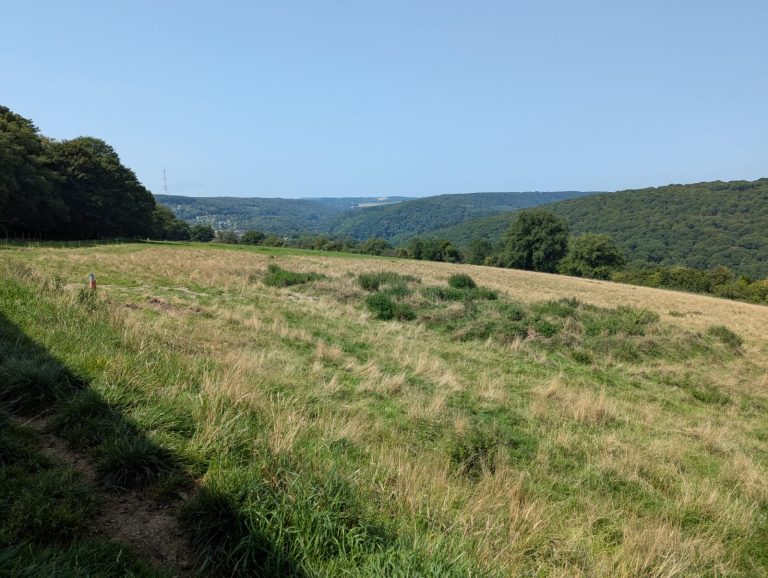 La Bergerie d&rsquo;Emilie — Photo 7