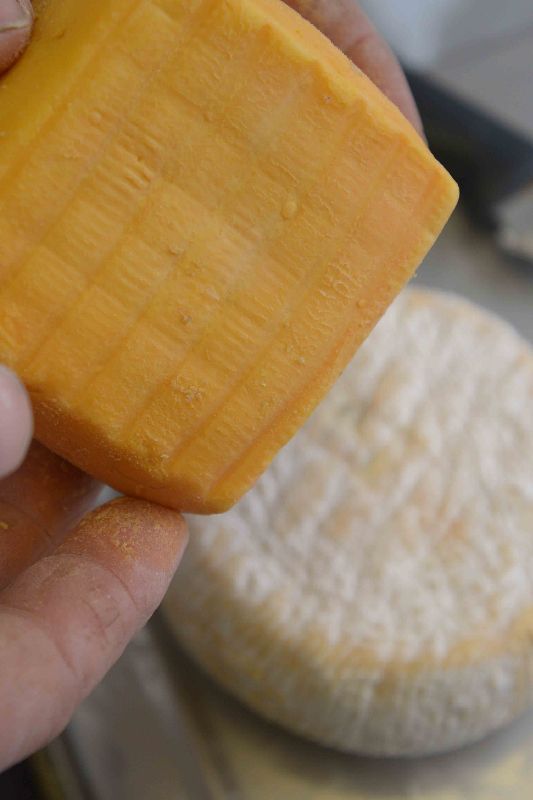 La Ferme fromagère de Chertin