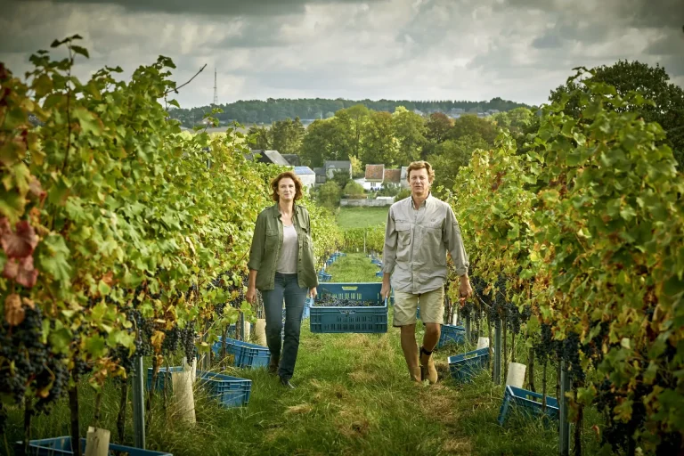 Château de Bioul — Photo 6