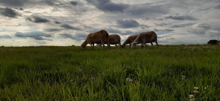 La Bergerie de Kumaye — Photo 5