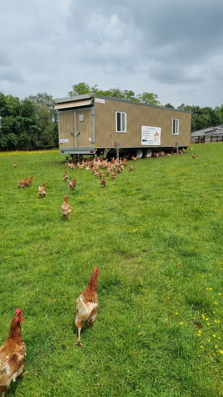 Les Cocot&rsquo;ysa — Photo 5