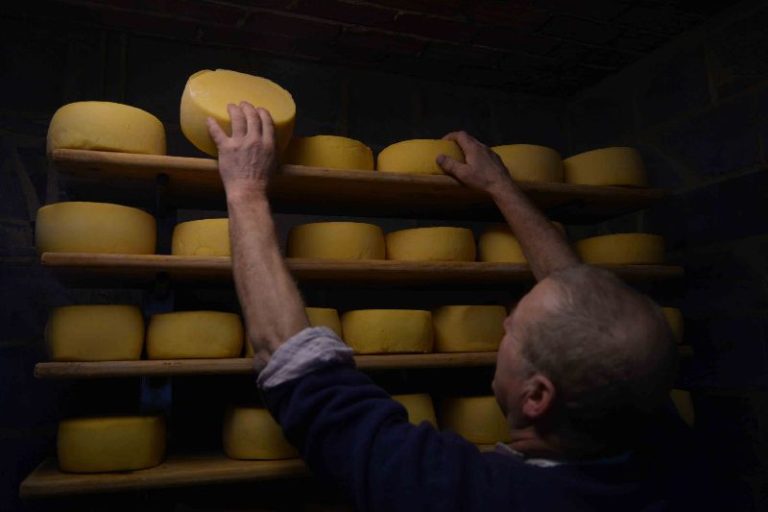 La Ferme fromagère de Chertin — Photo 1