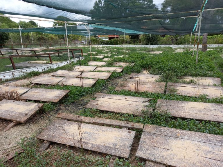 L&rsquo;Escargotière de Warnant — Photo 4