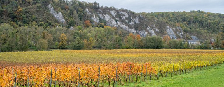 Château Bon Baron — Photo 4