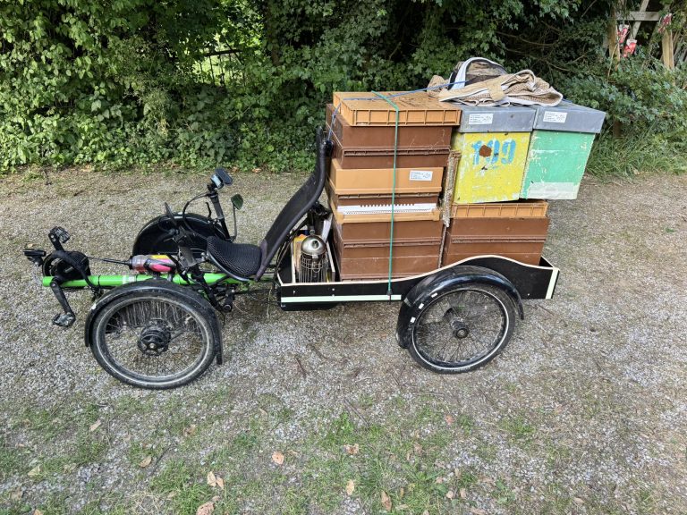 Beetasty — Photo 3