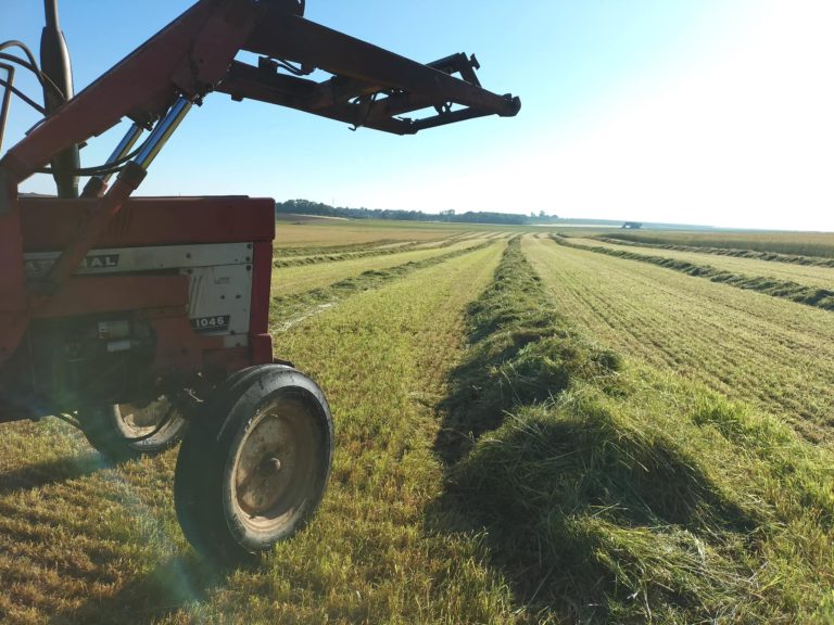 La Ferme des granges Awagne — Photo 3