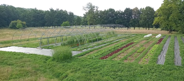 Les Jardins de Saint-Roch — Photo 3