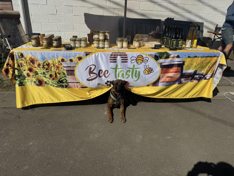 Beetasty — Photo 5