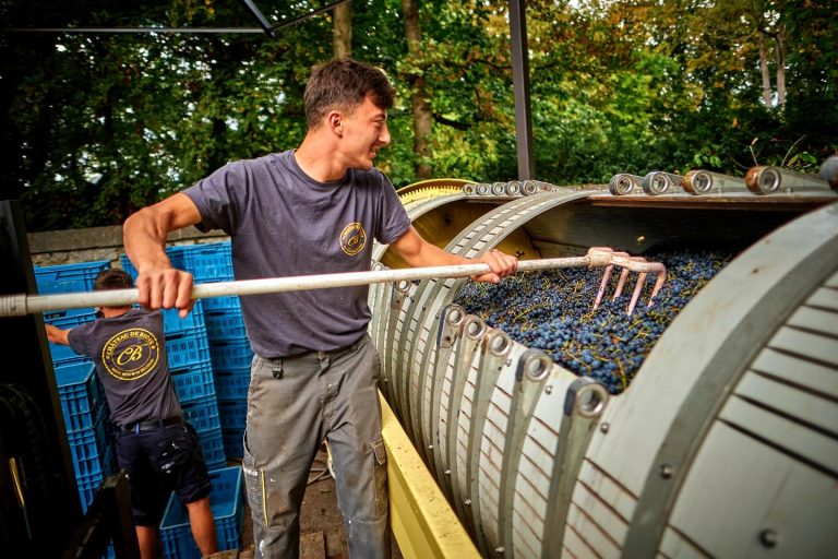 Château de Bioul — Photo 7