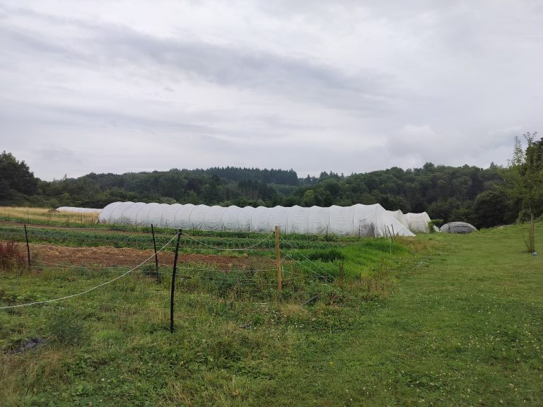 L’Épicurie — Photo 4