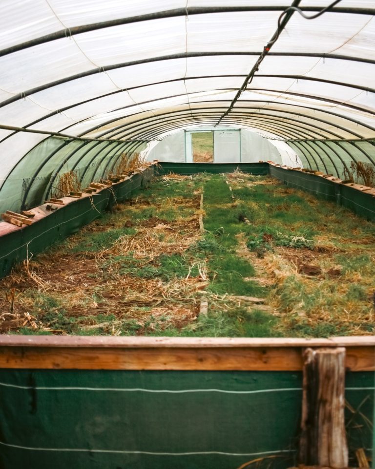 L&rsquo;Escargotière de Warnant — Photo 6