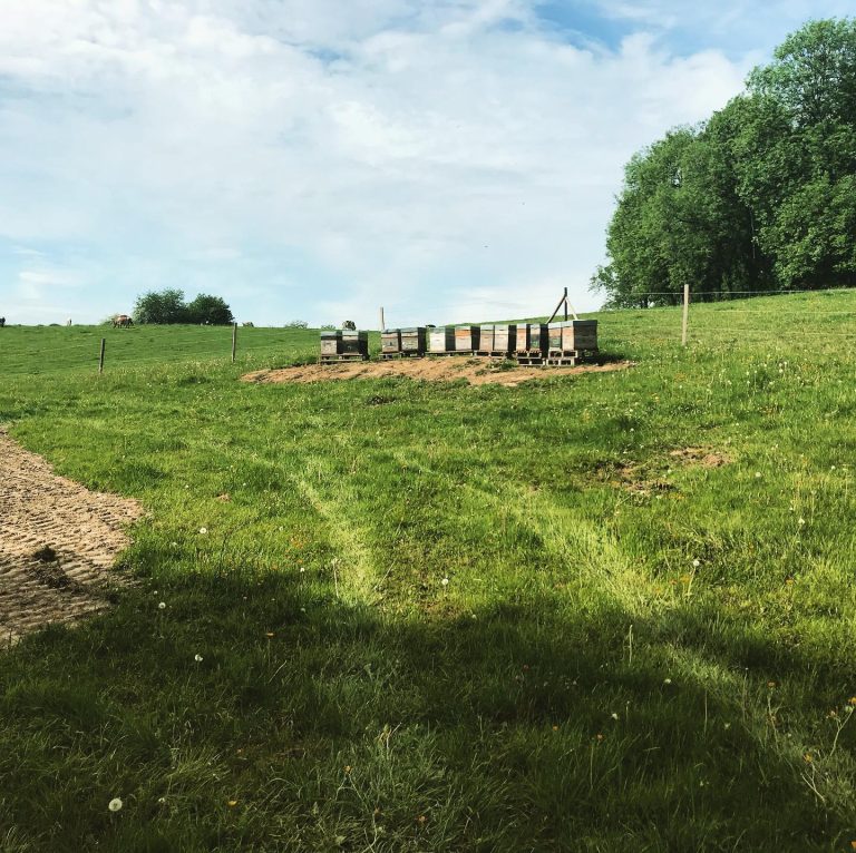 Beetasty — Photo 6