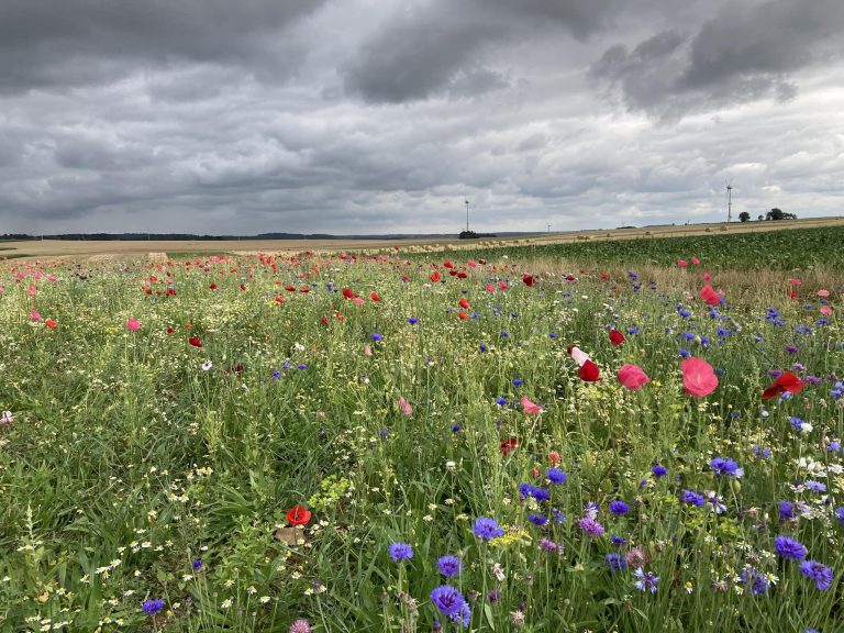 La Ferme des granges Awagne — Photo 6