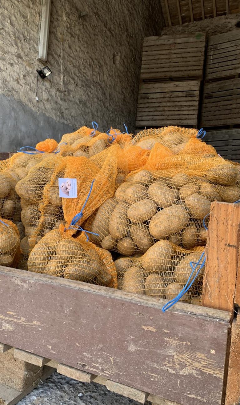 Le Jardin de Sylvain — Photo 7