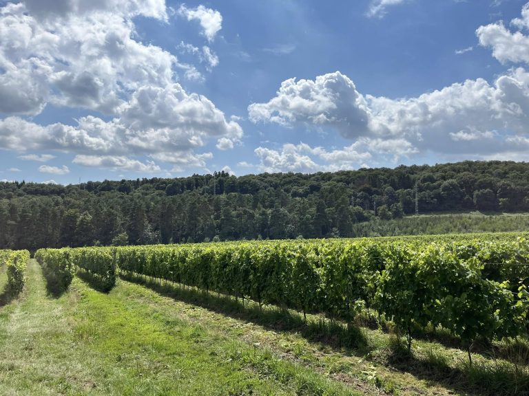 Château d&rsquo;Annevoie — Photo 8