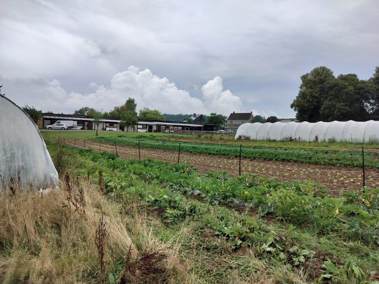 L’Épicurie — Photo 5