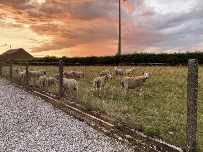 La Ferme des granges Awagne — Photo 7