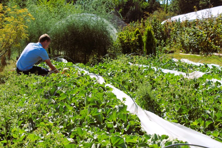 Le Jardin de Sylvain — Photo 8