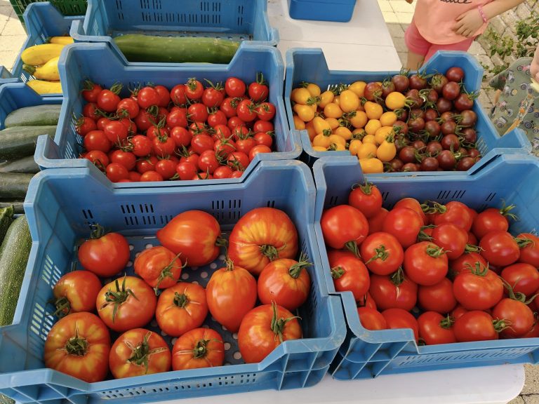 Les Légumes du Grand Feu — Photo 6