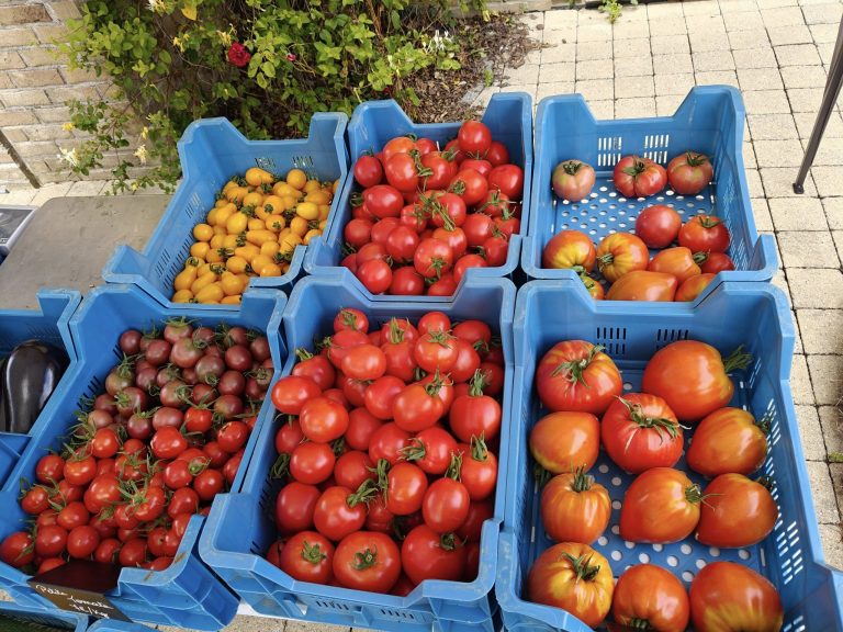 Les Légumes du Grand Feu — Photo 7