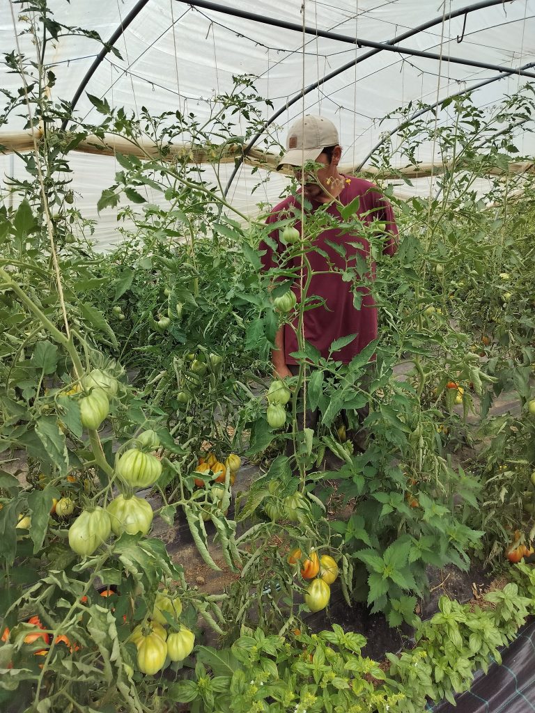 L’Épicurie — Photo 7