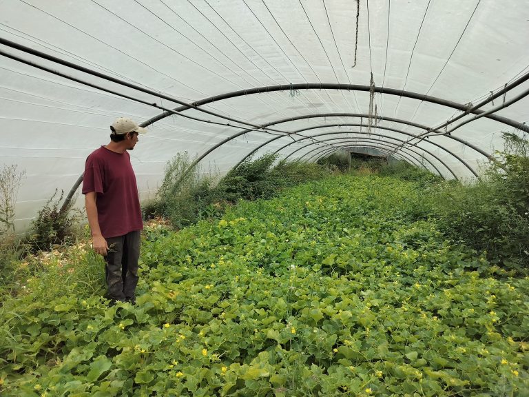 L’Épicurie — Photo 8