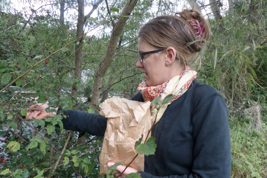 La Flobette — Image de couverture